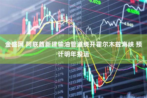 金盛网 阿联酋新建输油管道绕开霍尔木兹海峡 预计明年投运